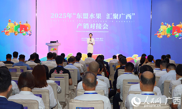 2025年“東盟水果 匯聚廣西”產(chǎn)銷對接會舉行