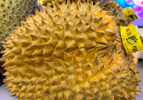 廣西將打造更多人工智能應(yīng)用場景 助東盟水果暢銷中國廣西愿與東盟國家一道，推動人工智能在水果品種研發(fā)、種植、采摘、加工、銷售等環(huán)節(jié)的運(yùn)用，打造更多垂直應(yīng)用場景，實現(xiàn)“東盟出產(chǎn)—廣西集散—中國暢銷”。