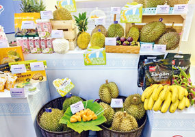 在廣西就能“炫”遍東盟水果廣西正積極打造面向東盟的水果貿(mào)易樞紐，助力實現(xiàn)東盟水果走上國內(nèi)餐桌的“恒溫接力”，從異國枝頭走到全國果籃的“嘗鮮之旅”。不少企業(yè)表示看好廣西首站樞紐優(yōu)勢，并暢談未來合作發(fā)展前景。