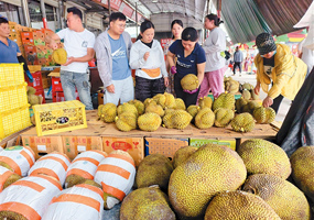 東盟鮮果從枝頭直達(dá)中國百姓餐桌RCEP框架下，廣西如何讓榴蓮從異國枝頭直達(dá)中國百姓餐桌？6月18日，“東盟水果 匯聚廣西 讓暢購RCEP更便利更美好——購在中國·廣西站”活動在南寧舉行，一場東盟水果盛宴就此拉開序幕。