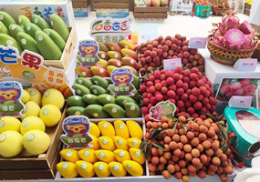 廣西為東盟水果及RCEP優(yōu)品合作打造橋梁廣西是中國面向東盟開放合作的前沿和窗口，也是全國水果產(chǎn)量第一的省區(qū)和東盟水果進(jìn)入中國的“門戶樞紐”。廣西口岸從東盟進(jìn)口水果超180億元、180萬噸，約占全國進(jìn)口東盟水果三分之一。