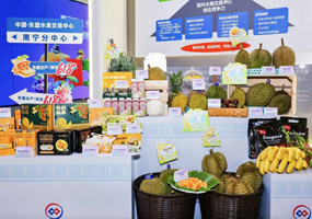 廣西打造東盟水果進(jìn)入中國的“門戶樞紐”廣西有22個對外開放口岸，覆蓋水陸空全類型，擁有12個進(jìn)境水果指定監(jiān)管場地、全國最多。憑祥友誼關(guān)口岸是中國最大的陸路水果進(jìn)出口口岸之一，覆蓋榴蓮、山竹、火龍果等20多種準(zhǔn)入水果。