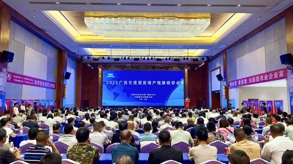 會(huì)議現(xiàn)場(chǎng)。韋桃飛攝