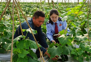 稅惠精準(zhǔn)服務(wù)助春耕