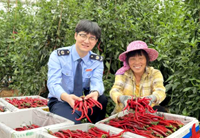 稅惠澆灌沃土 繪就現(xiàn)代農(nóng)業(yè)發(fā)展新畫卷