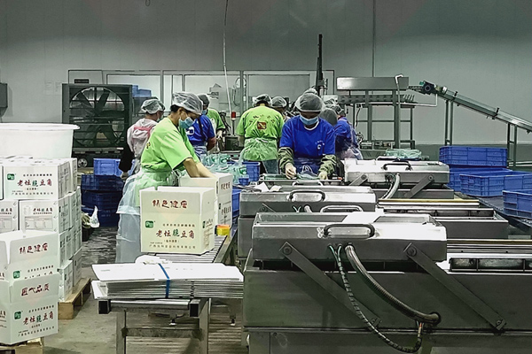“同古酸菜”無菌化處理生產(chǎn)車間一角。唐梓耀攝