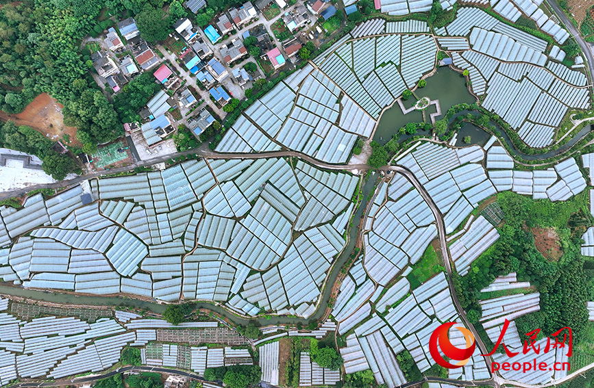 俯瞰毛竹山村。人民網(wǎng) 雷琦竣攝
