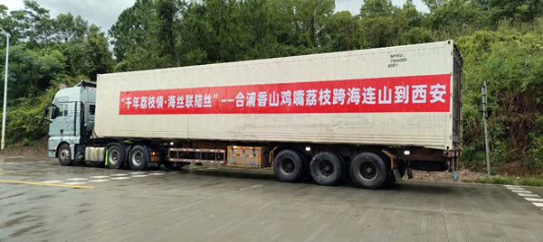 合浦香山雞嘴荔枝跨越山海甜蜜抵西安