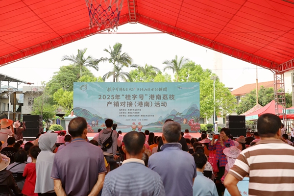 2025年“桂字號”港南荔枝產(chǎn)銷對接活動現(xiàn)場。陸錦婷攝