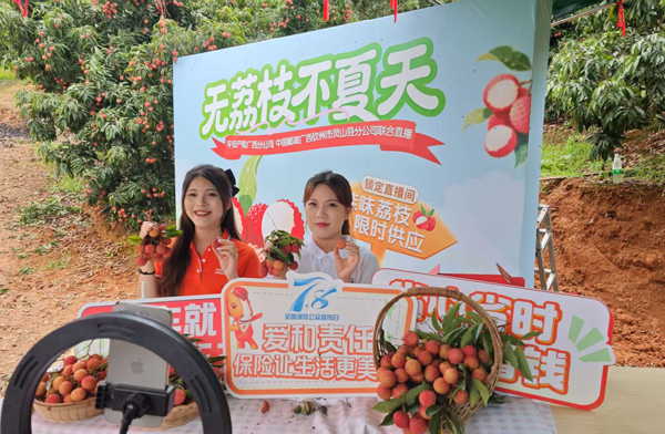 平安主播正在直播。平安產(chǎn)險(xiǎn)廣西分公司供圖
