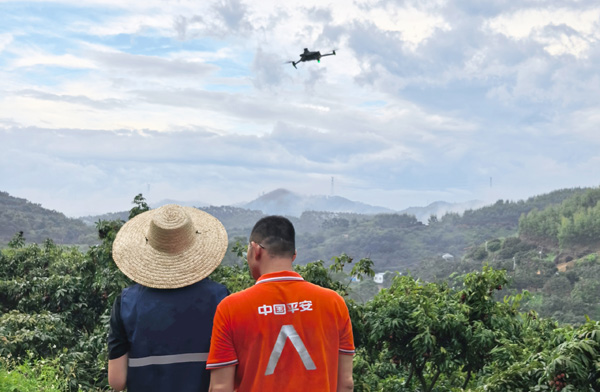 通過(guò)無(wú)人機(jī)航拍+AI大模型等技術(shù)手段，實(shí)現(xiàn)保險(xiǎn)與科技的深度融合。平安產(chǎn)險(xiǎn)廣西分公司供圖