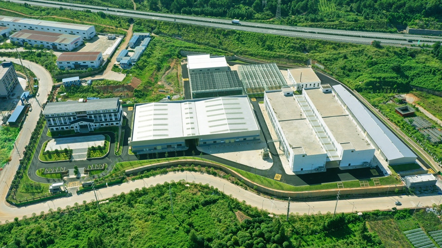 位于資源縣中峰鎮(zhèn)八坊村的中藥材種植基地