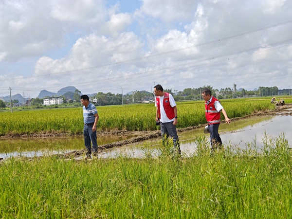 自治區(qū)審計(jì)廳駐武宣縣復(fù)旦村工作隊(duì)調(diào)研村基礎(chǔ)設(shè)施。