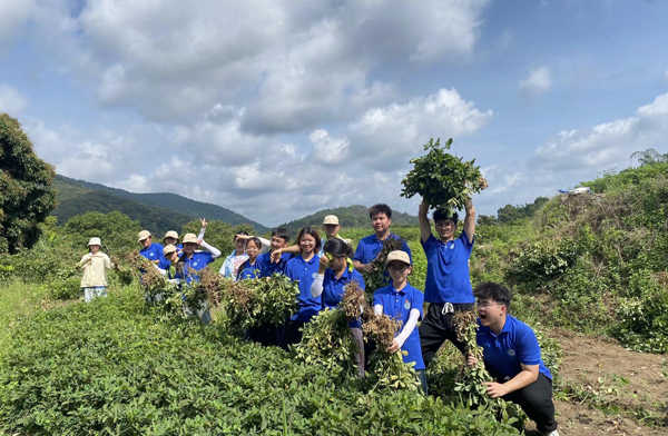 實踐團成員與村民一同拔花生。廣西職業(yè)師范學院供圖
