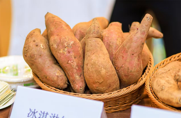 合浦優(yōu)質(zhì)農(nóng)產(chǎn)品展示