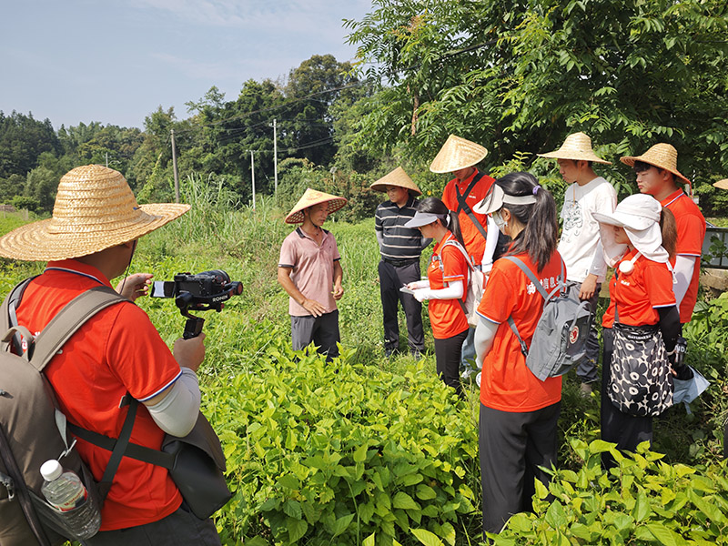 拍攝桑苗種植園。徐境懋?dāng)z