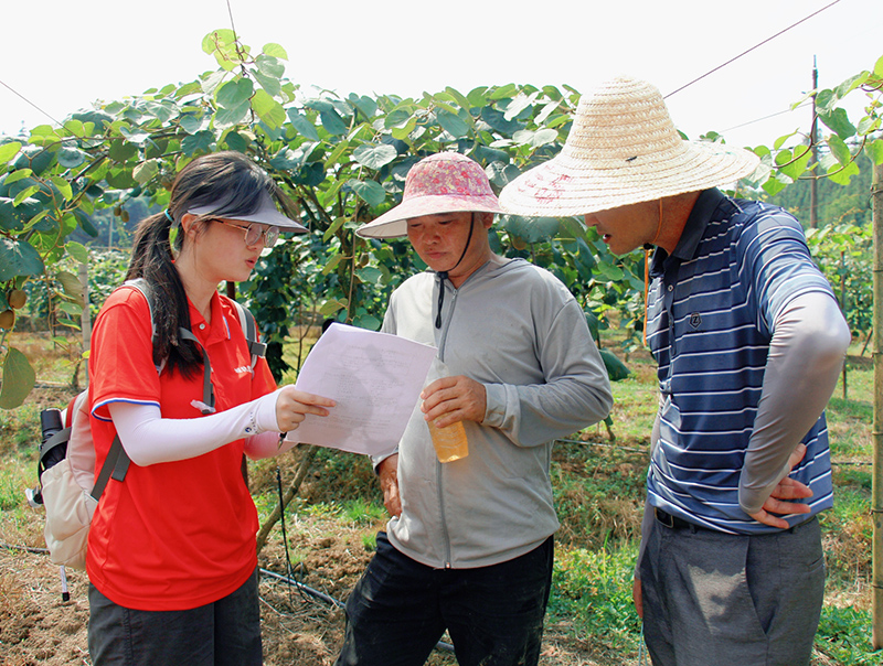 拍攝獼猴桃產(chǎn)業(yè)基地宣傳視頻。徐境懋?dāng)z