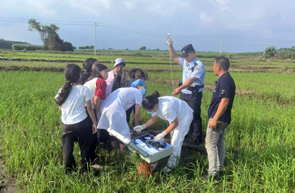民警協(xié)助醫(yī)護(hù)人員對中暑男子開展救治