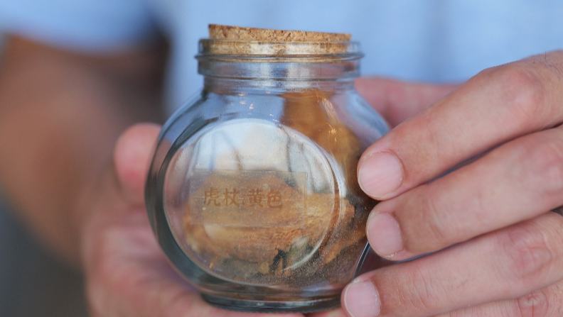 行進中國丨把植物“穿”在身上的綠色未來梔子、黃櫨、板藍根都能“穿著于身”？衣服可以回歸自然健康？在風光旖旎的桂林，一座名為“十如”的可持續(xù)發(fā)展園林，將這份探索制造業(yè)與自然融合的答案藏于山水之間。