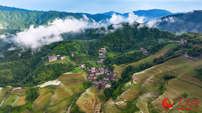 龍脊梯田的云海景觀。人民網(wǎng) 雷琦竣攝