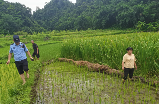 “泥腿子”民警在田間調(diào)解化糾紛