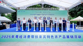 忻城“山珍”閃耀羊城 粵桂幫扶簽下3600萬元大單