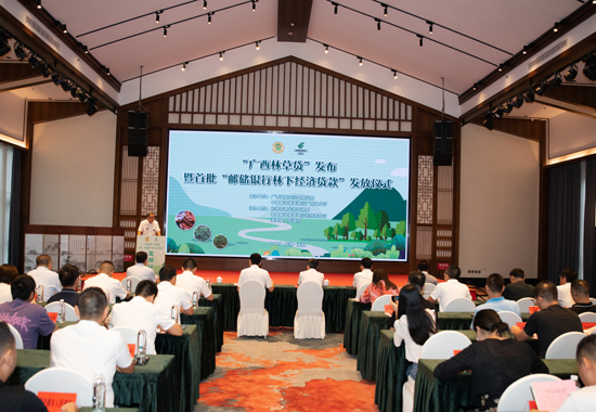 發(fā)布儀式現(xiàn)場(chǎng)。郵儲(chǔ)銀行廣西區(qū)分行供圖