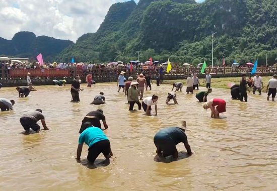 捉魚比賽現(xiàn)場。