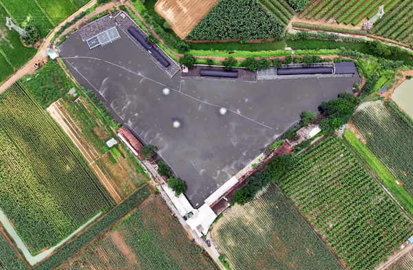 南寧壇洛鎮(zhèn)金光農(nóng)場畜禽糞污資源化利用示范基地航拍圖。主辦方供圖