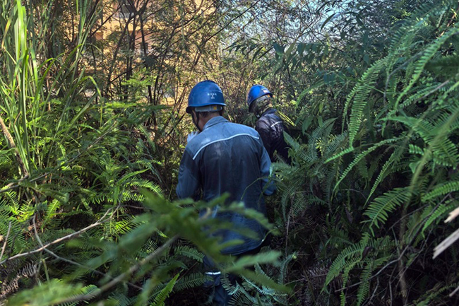 10月4日，陸川供電局組織運(yùn)維班人員提前行動(dòng)，落實(shí)拼命清障要求，對(duì)轄區(qū)線路進(jìn)行集中清障，全力保障運(yùn)維設(shè)備安全穩(wěn)定運(yùn)行。劉俊丁攝