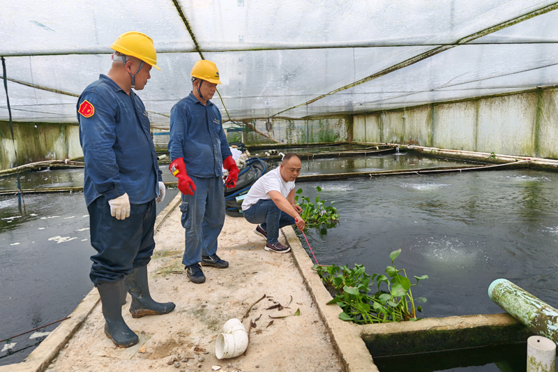 10月6日，陸川供電局古城供電所第一時(shí)間組織客戶服務(wù)班人員巡視走訪10千伏北豆線上下大嶺公變區(qū)域，對觀賞魚養(yǎng)殖戶開展上門用電服務(wù)。陳陽鐘攝