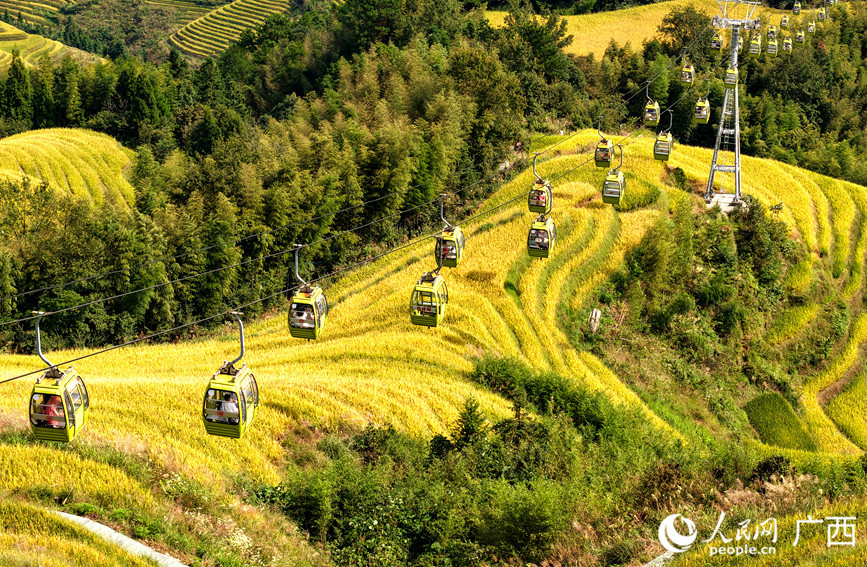 在龍脊鎮(zhèn)大寨村，游客乘坐索道觀光游覽。