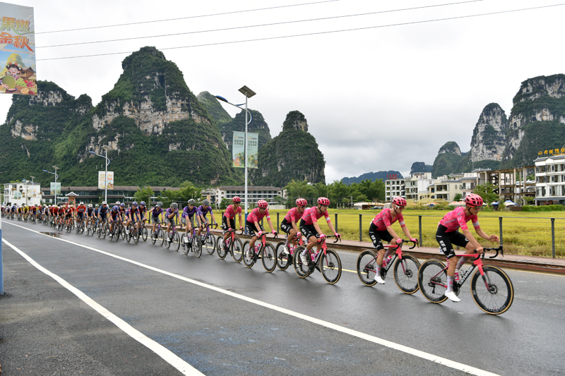 車手途經(jīng)明仕景區(qū)賽段。農(nóng)新俐攝