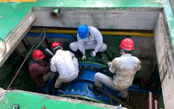 黨建先鋒隊(duì)正在加班加點(diǎn)檢修設(shè)備。廣農(nóng)新能源集團(tuán)供圖