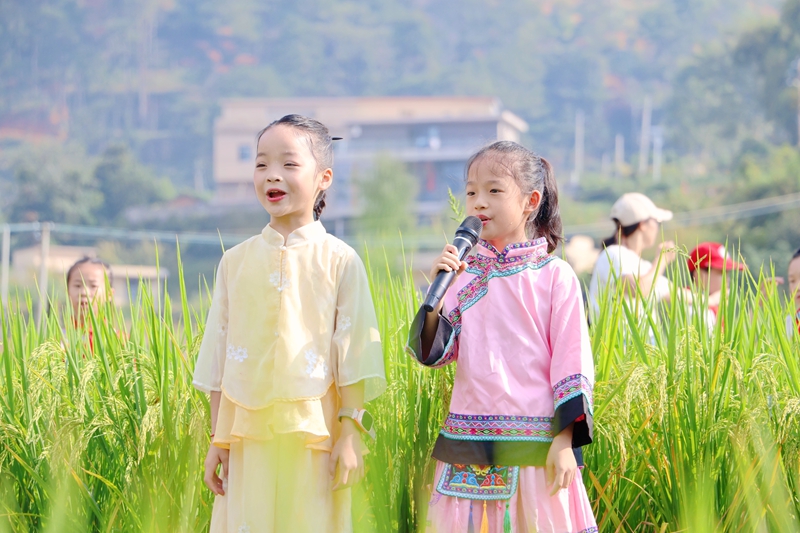 學(xué)生們在稻田邊合唱秋季豐收主題歌曲