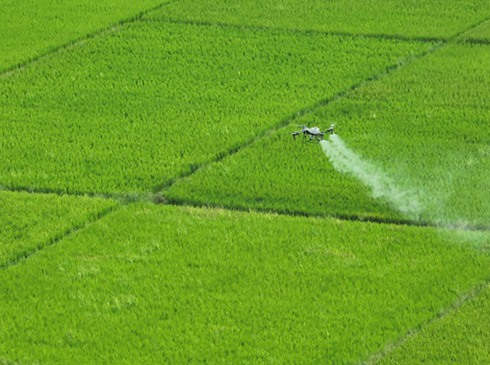 玉州區(qū)：“一噴多促”保晚稻增產(chǎn)豐收  眼下正是晚稻抽穗揚(yáng)花、灌漿結(jié)實(shí)、產(chǎn)量形成的關(guān)鍵時(shí)期。在玉林市玉州區(qū)城北街道高山村314畝稻田里，一架植保無人機(jī)在飛手熟練操控下騰空而起，依靠北斗精準(zhǔn)定位，按照規(guī)劃路線來回快速均勻噴施肥藥劑，集中開展“一噴多促”肥藥劑混合噴施作業(yè)，科學(xué)防治病蟲害，提升晚稻抗逆減災(zāi)能力……[詳細(xì)]