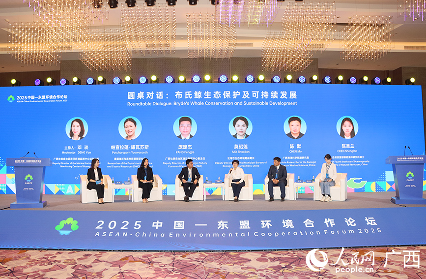 圓桌對話。人民網(wǎng) 付華周攝