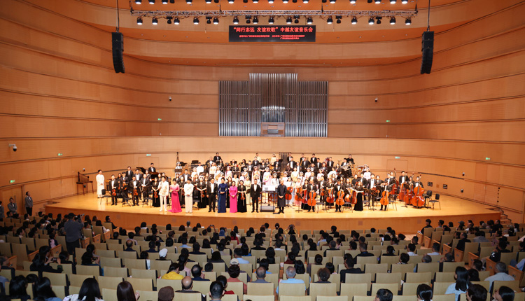 “同行志遠(yuǎn) 友誼歡歌”中越友好文藝交流活動在南寧舉行