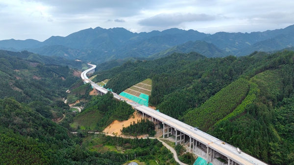 桐金一分部主線。