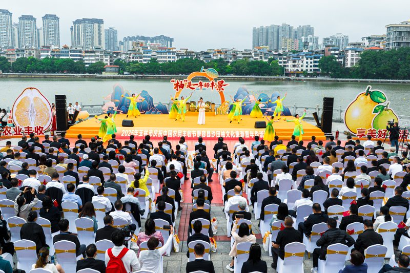 活動(dòng)現(xiàn)場(chǎng)。主辦方供圖