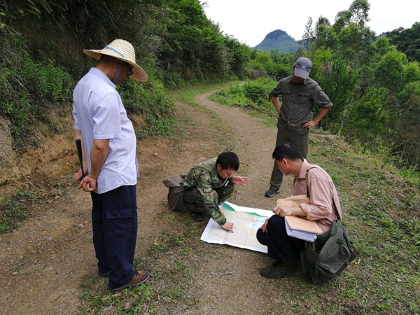 桂林理工大學(xué)與廣西第四地質(zhì)隊(duì)在西大明山國(guó)家級(jí)整裝勘查區(qū)開(kāi)展礦產(chǎn)地質(zhì)調(diào)查工作。桂林理工大學(xué)供圖