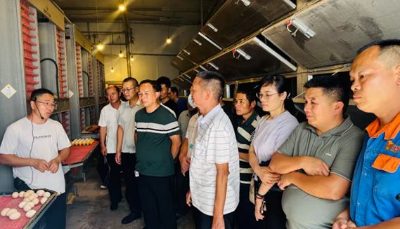 金城江區(qū)：加強基層農(nóng)技推廣 傳授畜牧養(yǎng)殖技術(shù)