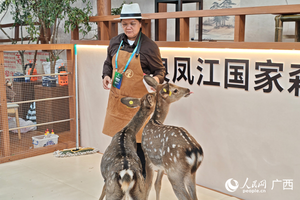 展廳內(nèi)的兩只梅花鹿惹人憐愛。人民網(wǎng)記者 王勇攝