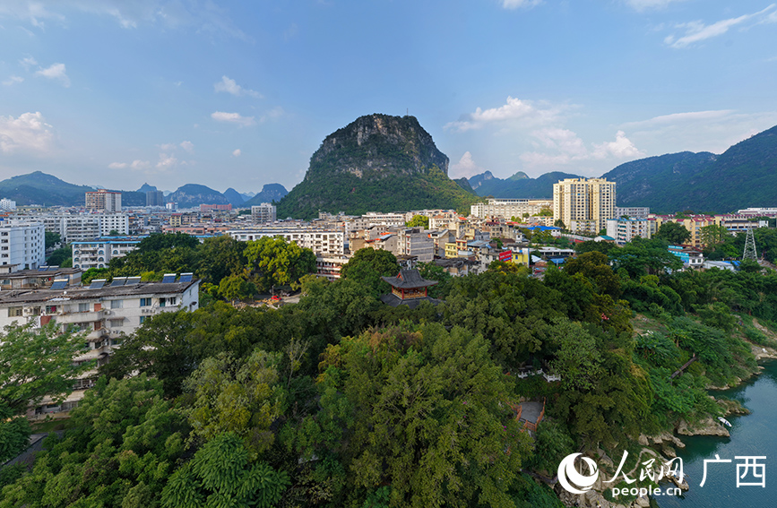 環(huán)境優(yōu)美的河池學(xué)院。人民網(wǎng) 付華周攝