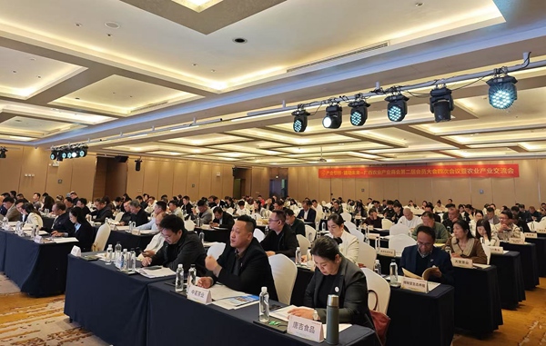 會議現(xiàn)場。主辦方供圖