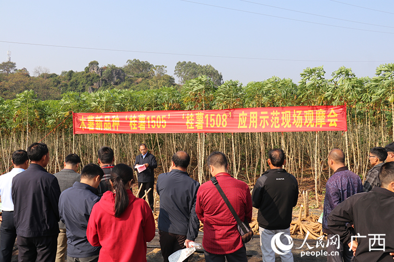 觀摩會現(xiàn)場。人民網(wǎng) 劉璐瑤攝