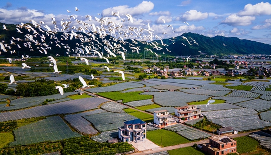 資源縣書寫“富綠雙贏”美麗答卷