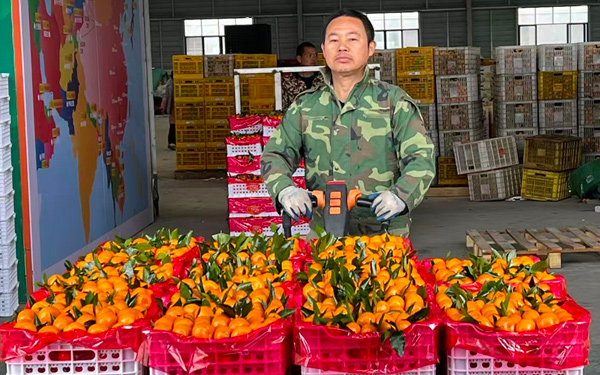 裝車(chē)發(fā)往海外