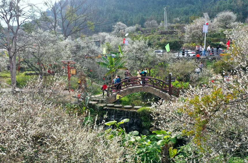 賓陽陳平名山生態(tài)旅游景區(qū)