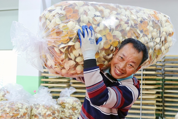 陳皮豐收。毛麗婷攝